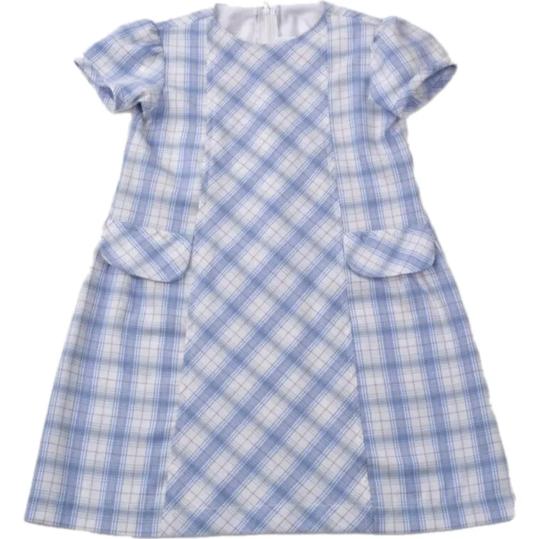 Blue Plaid Dress