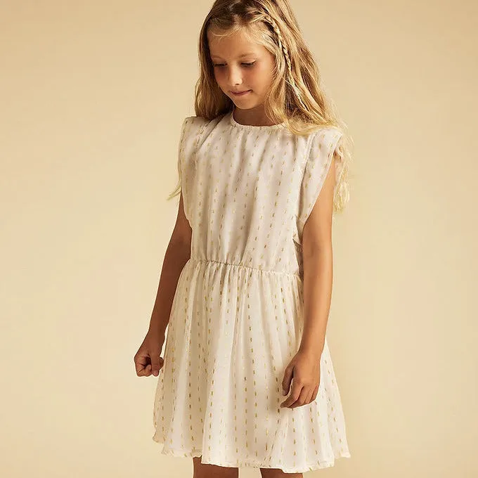 Chiffon Lurex Dress