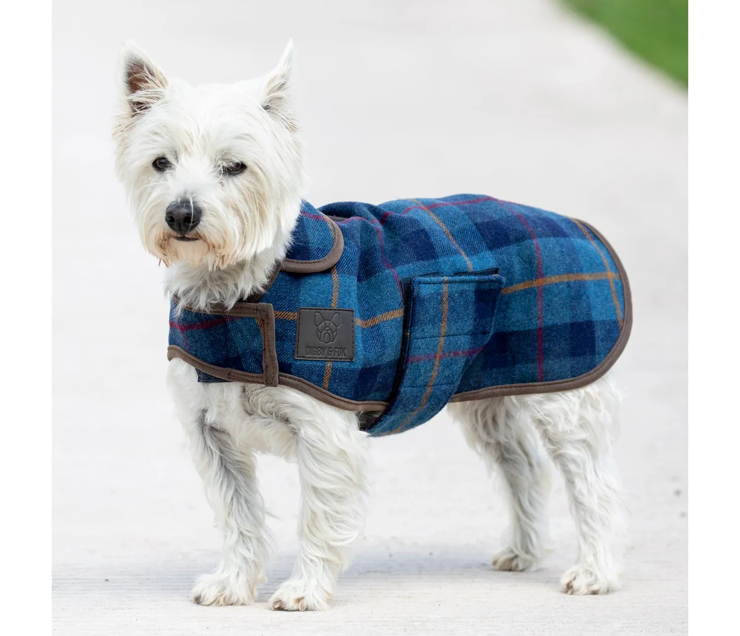 Digby & Fox Tweed Dog Coat