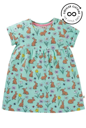 dress riverine rabbit