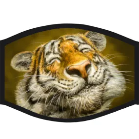 Face Mask - Smiling Tiger