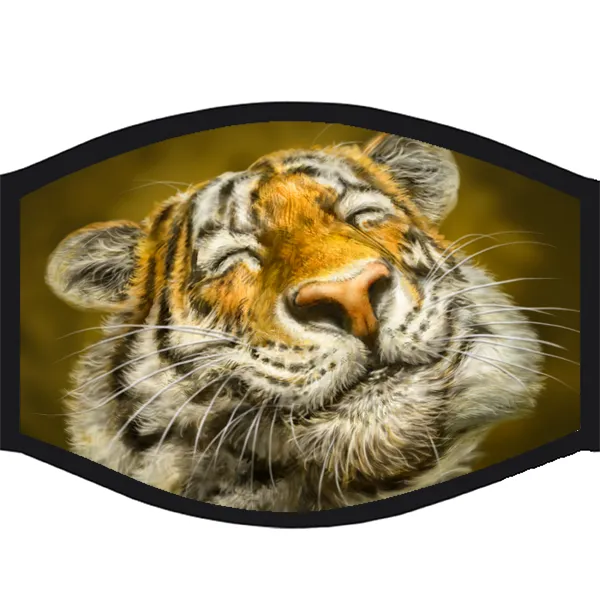 Face Mask - Smiling Tiger