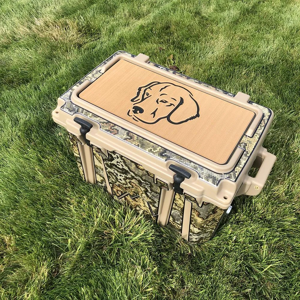 Golden Retriever Name - DG/AQ