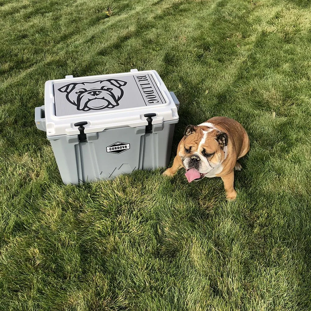 Golden Retriever Name - DG/AQ