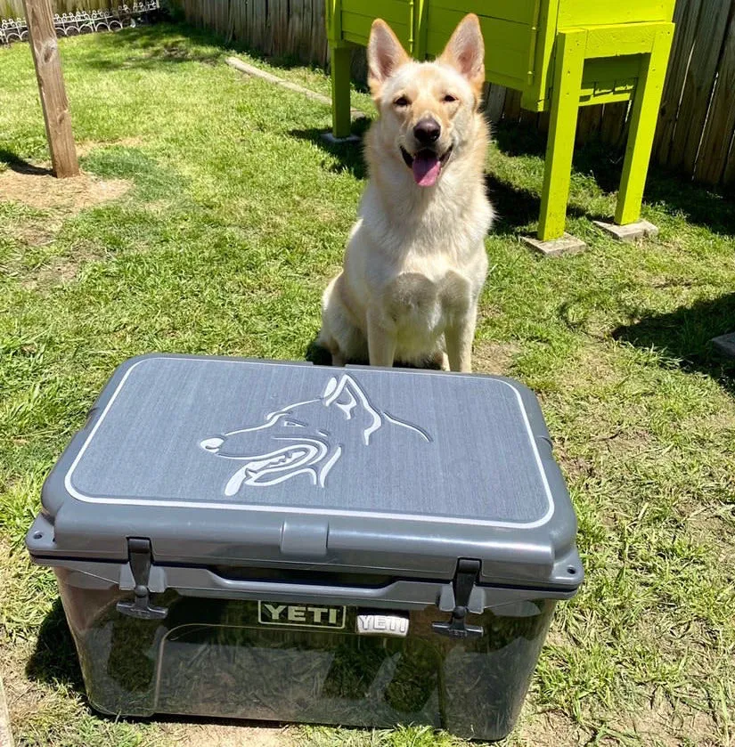 Golden Retriever Name - DG/AQ