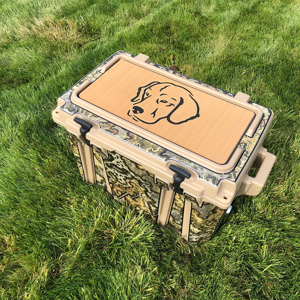 Labrador - AQ/B