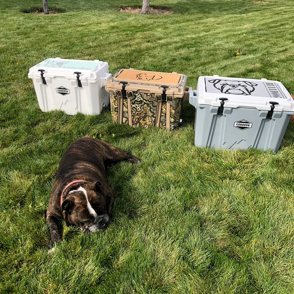 Labrador - AQ/B